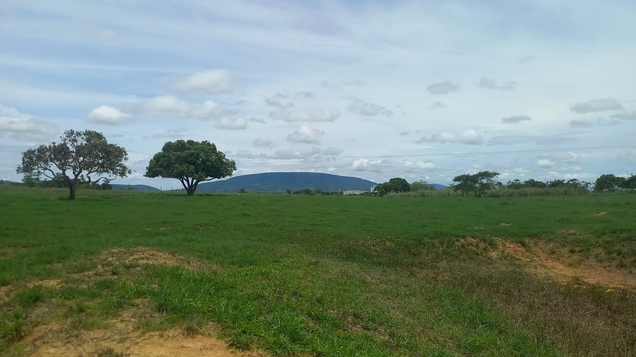 depois da chuvas a paisagem como é que tá tudo verdinha