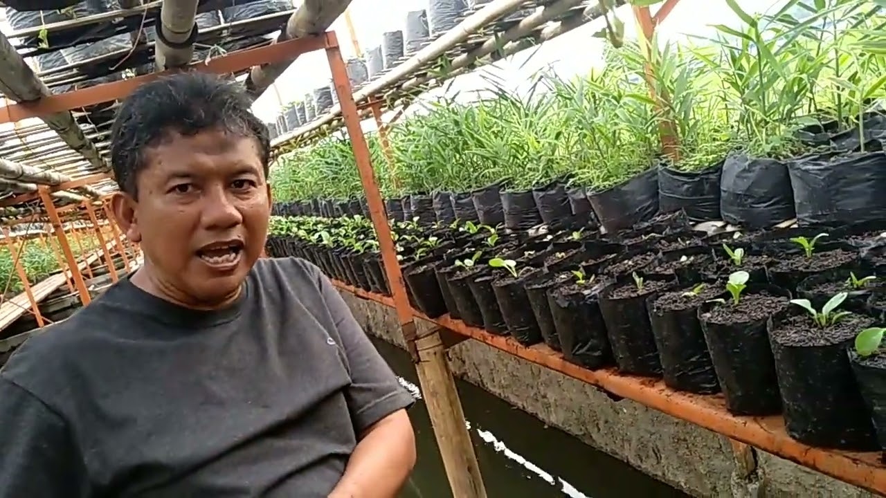 Pertanian Perikanan Terpadu, Sukoharjo 2022