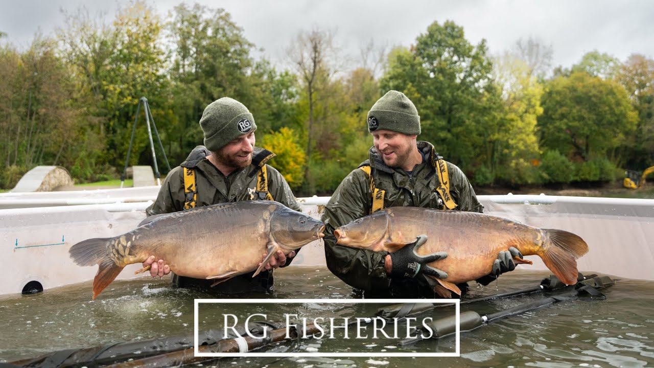 Matfield Lilies Lake - Carp Netting