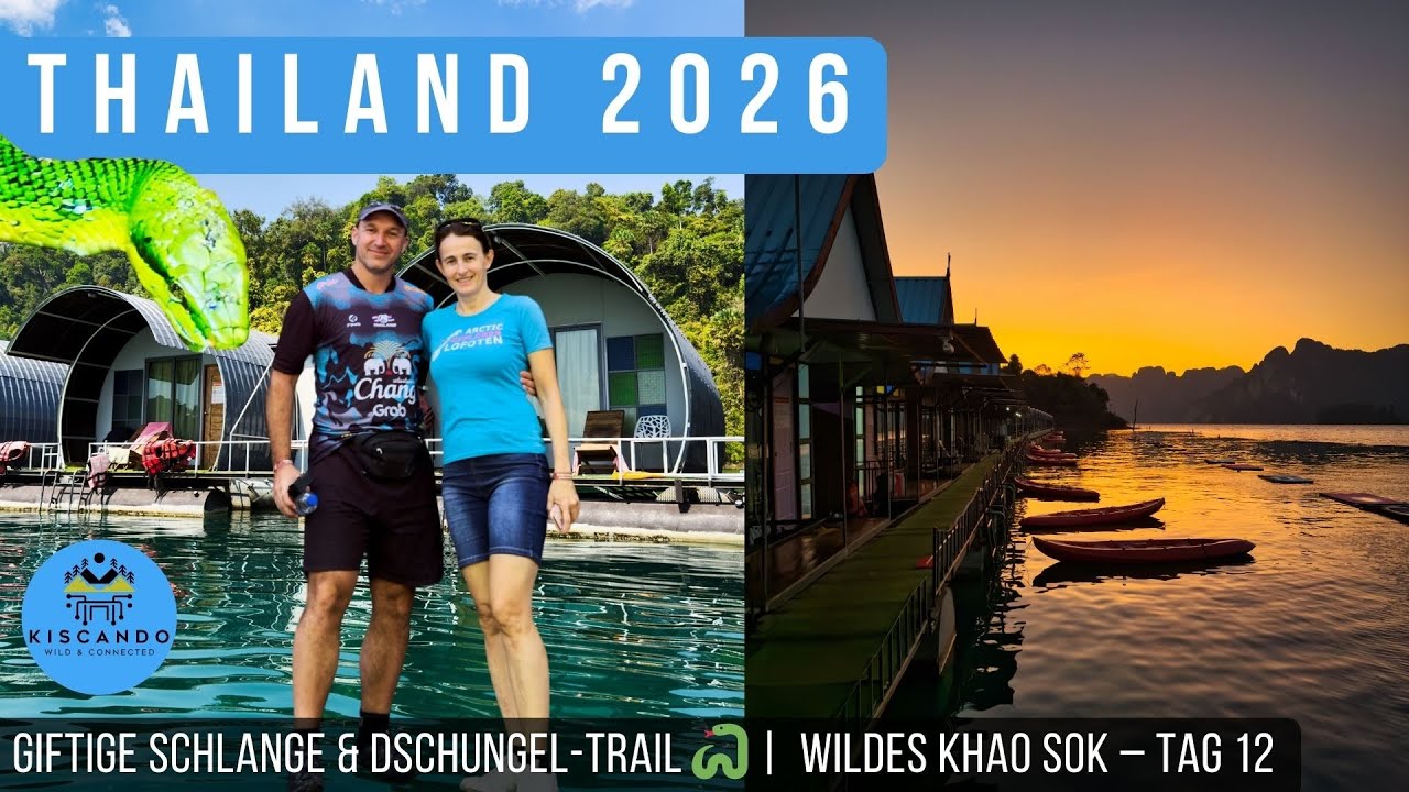 GIFTIGE SCHLANGE & DSCHUNGEL-TRAIL 🐍 | THAILAND 2026: Wildes Khao Sok – Tag 12