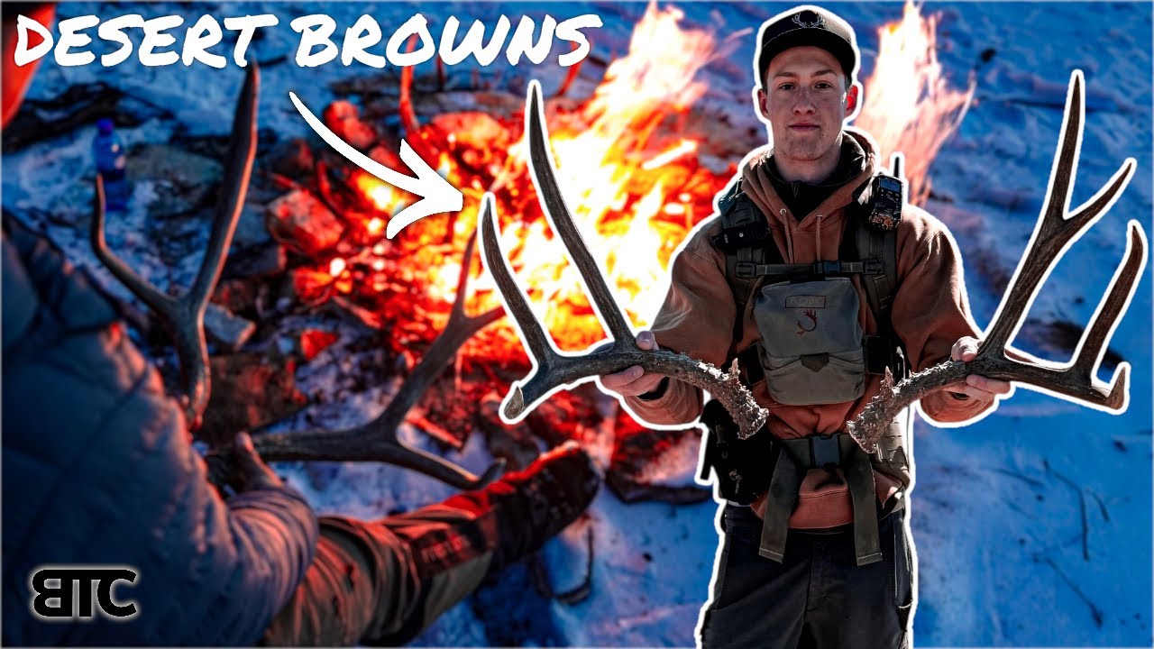 DESERT BROWNS | SHEDHUNT 26 | BTC 4K