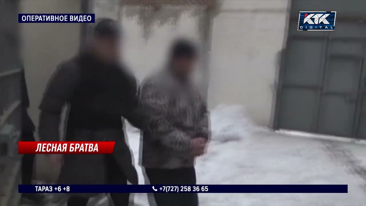 Руководитель и пять бухгалтеров «Ертiс орманы» попали под следствие