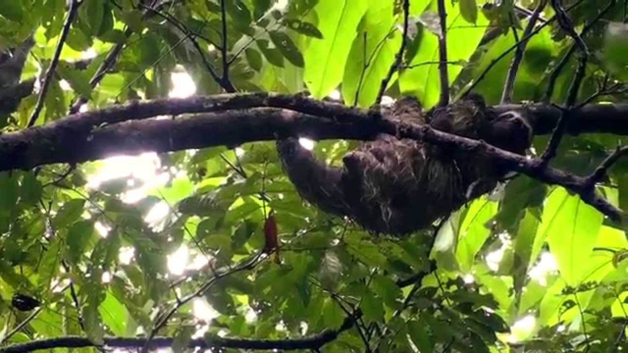 The beauty of Nicaragua's nature