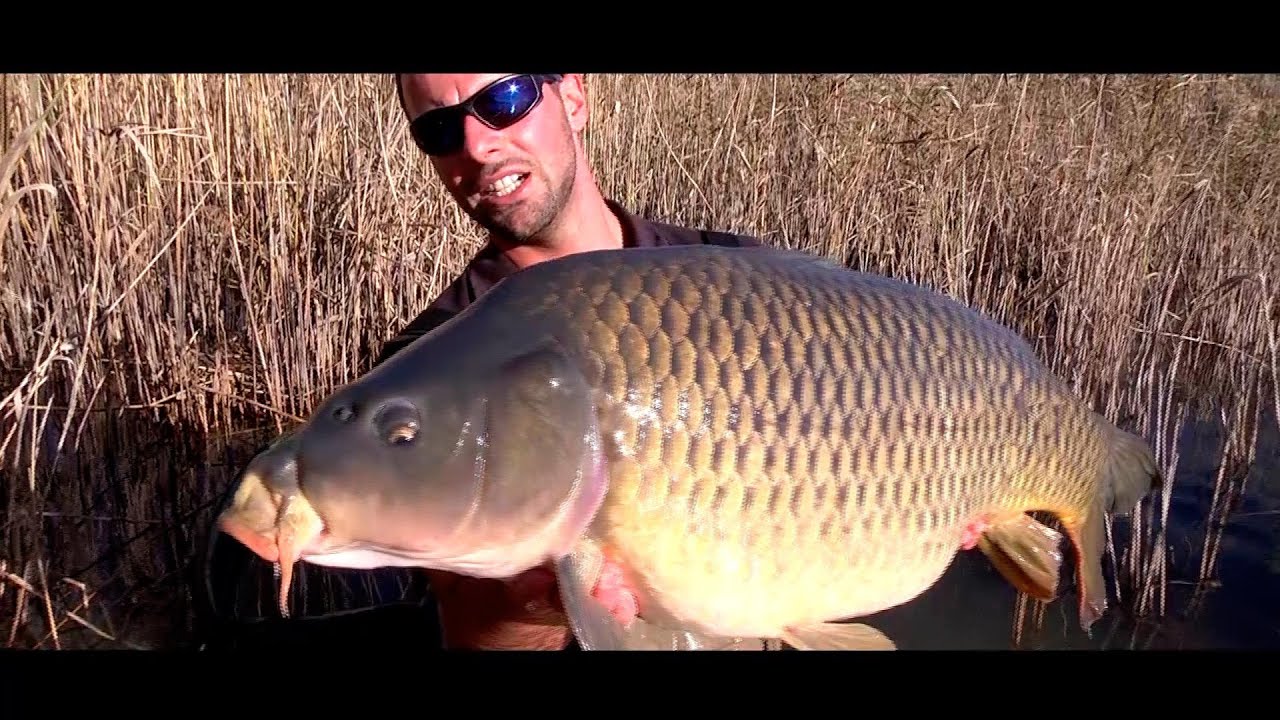K-Karp - Carp Fishing TV - Carpe in palude