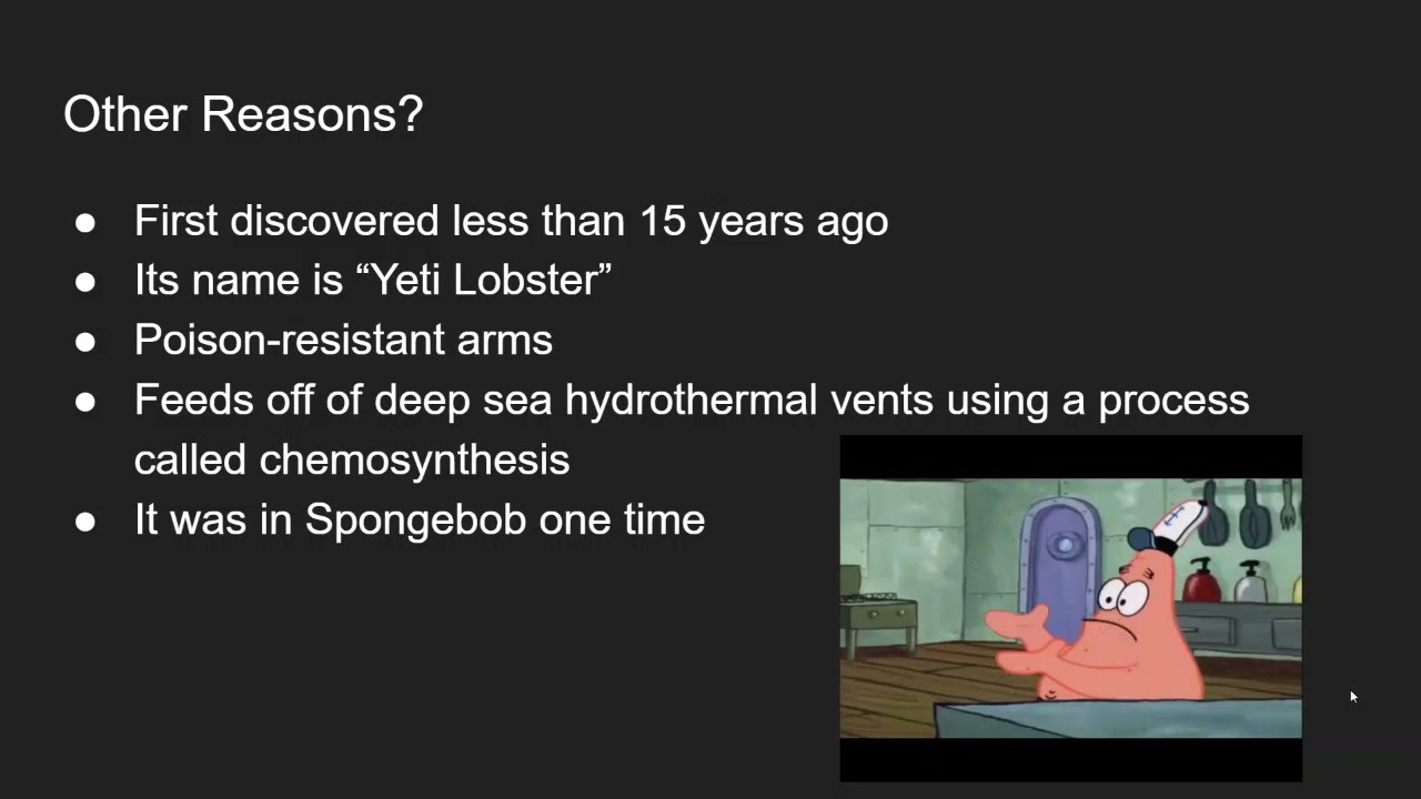Yeti Lobster