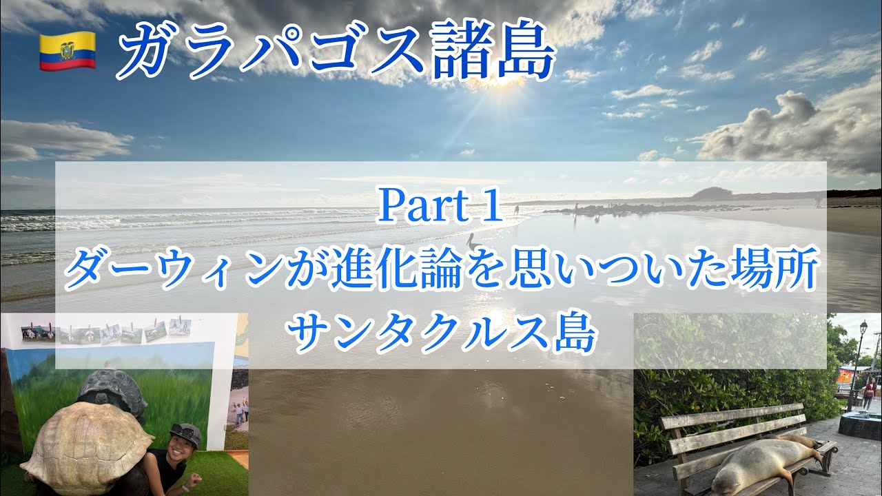 ガラパゴス諸島 Part1 サンタクルス島 【夫婦で世界一周】
