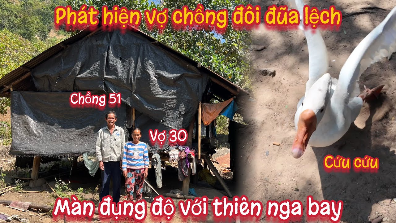 Màn đụng độ với THIÊN NGA BAY khi đến thăm vợ chồng ĐÔI ĐŨA LỆCH | Tập 594