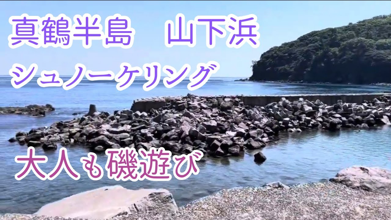 真鶴の琴ヶ浜(山下浜)でシュノーケリング