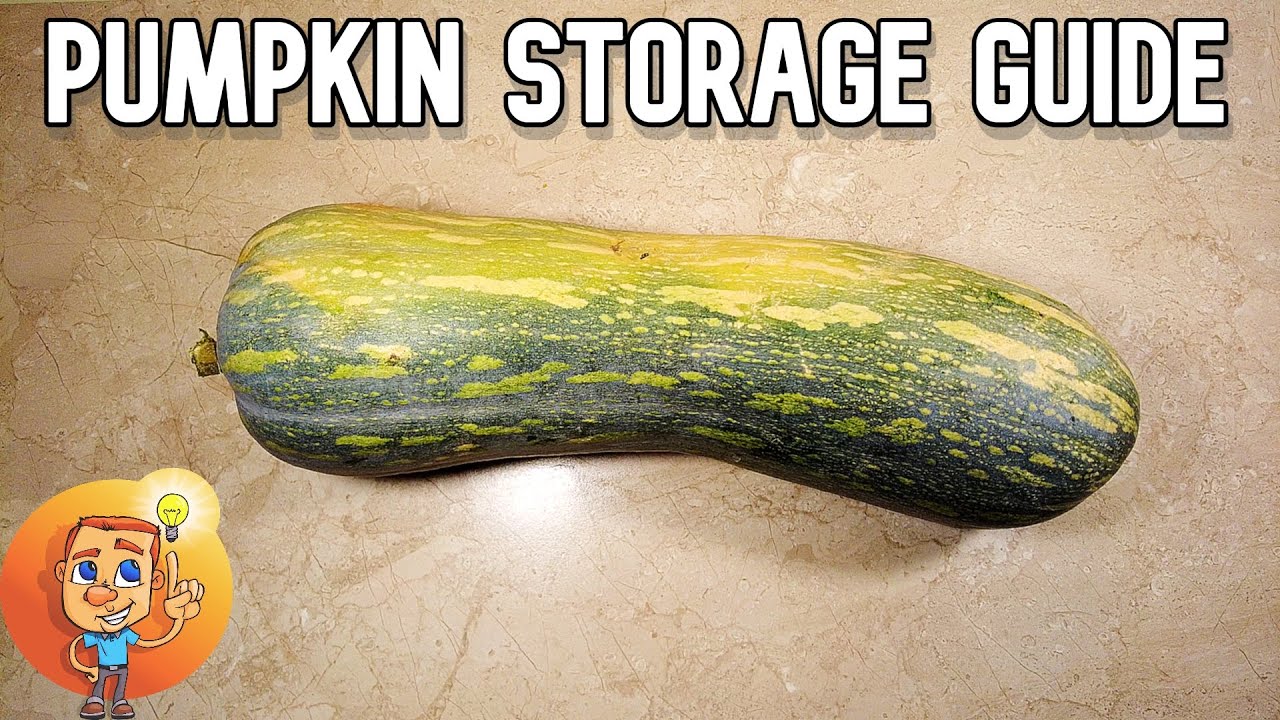Pumpkin Storage Guide - How to keep pumpkin for a long time - Freezing Pumpkin