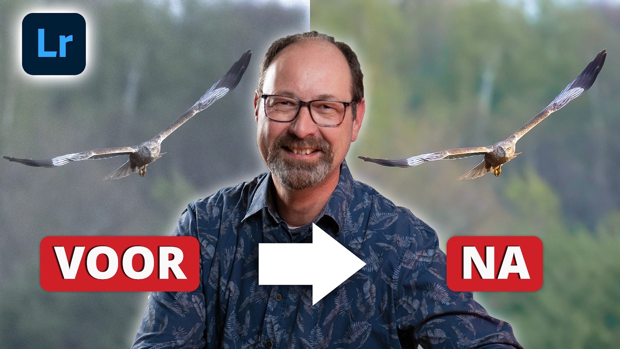 Fotobewerking Vogelfotografie in Adobe Lightroom
