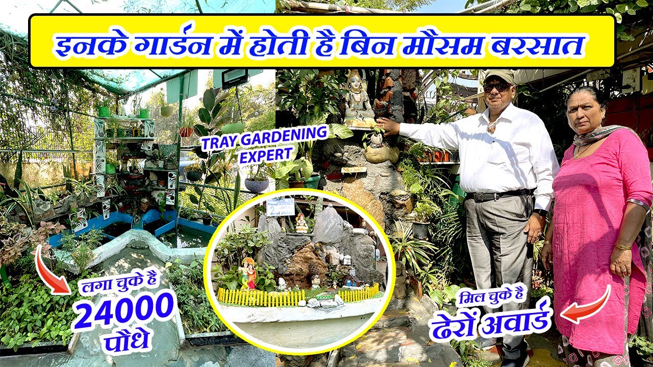 इनके गार्डन में होती है बिन मौसम बरसात ☔ ☔ ⛈️ ⛈️ | Best Use of Waste Materials in Gardening 🪴 🤩