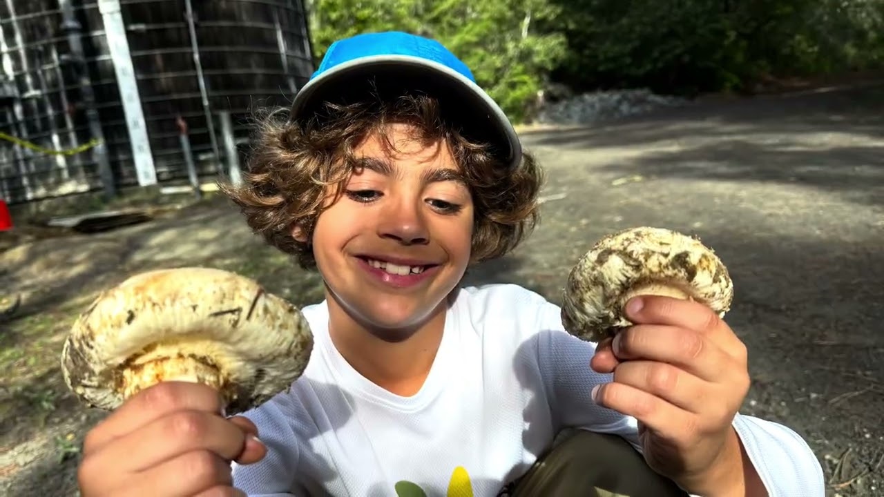 Salt Point Mushroom Hunt 2025