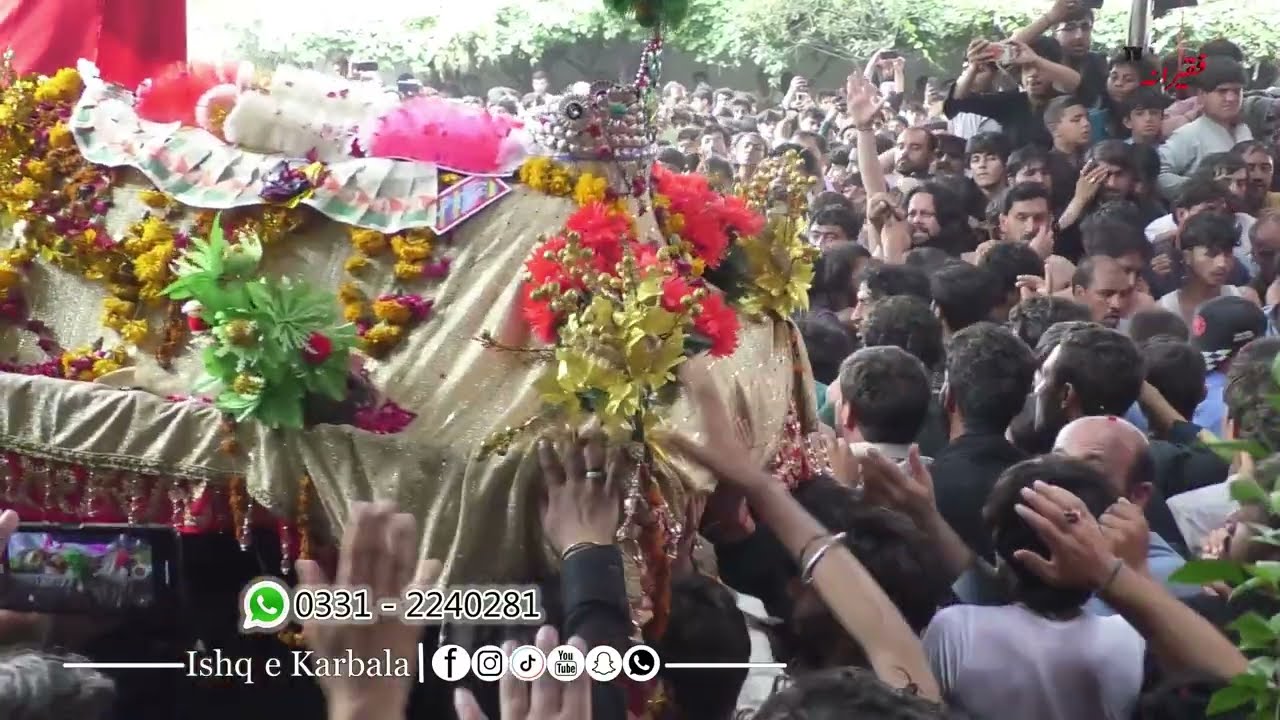 Zanjeer zani Pashto Saaz Matam - 25 Muharram 2025 Imam Bargh e Hussainiya