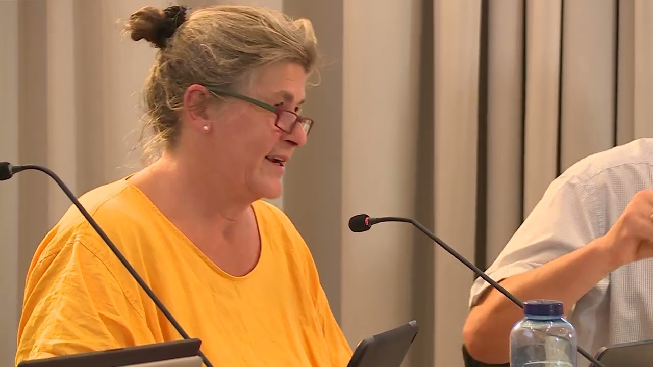 TOP 7: Aufwertung der Gr&uuml;nanlage Pfinzstra&szlig;e &ndash; Keramikweg Durlach