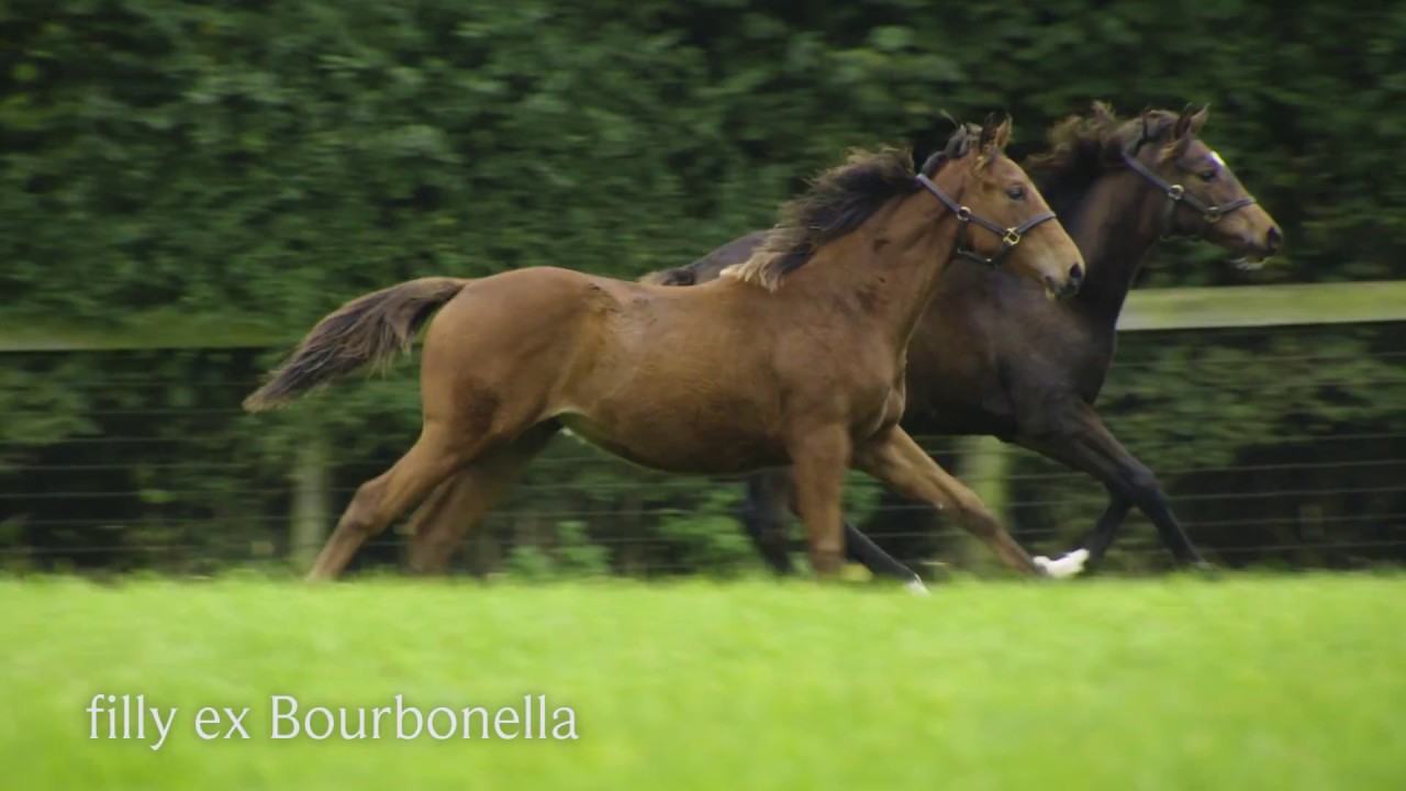 Kingman #BestByMiles