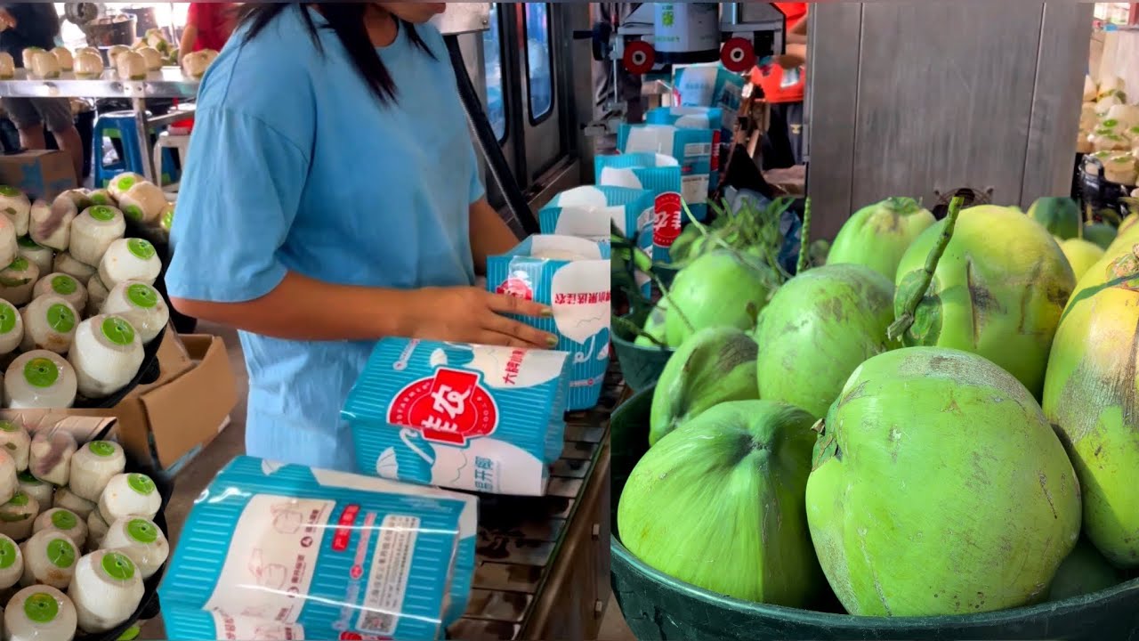 How to Produce Millions of Coconut Per Day in the Factory - Crazy Speed Coconut Cutting Skills