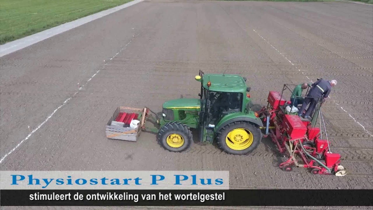 Physiostart P Plus in Mais