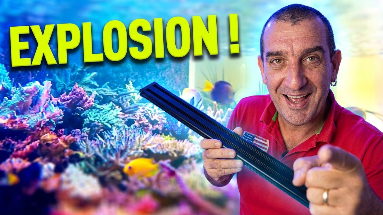 Présentation Or3 reef led lighting bars - La nouvelle façon d'illuminer votre récif