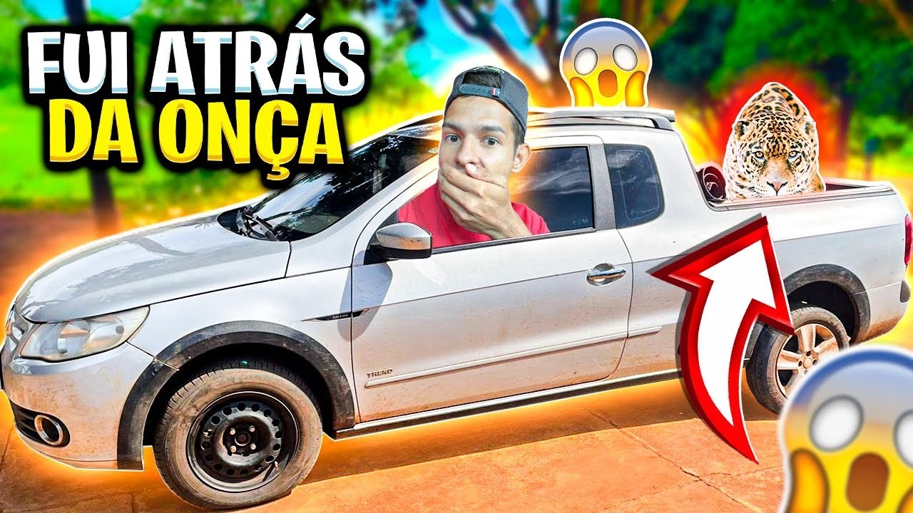 FUI ATRÁS DA ONÇA