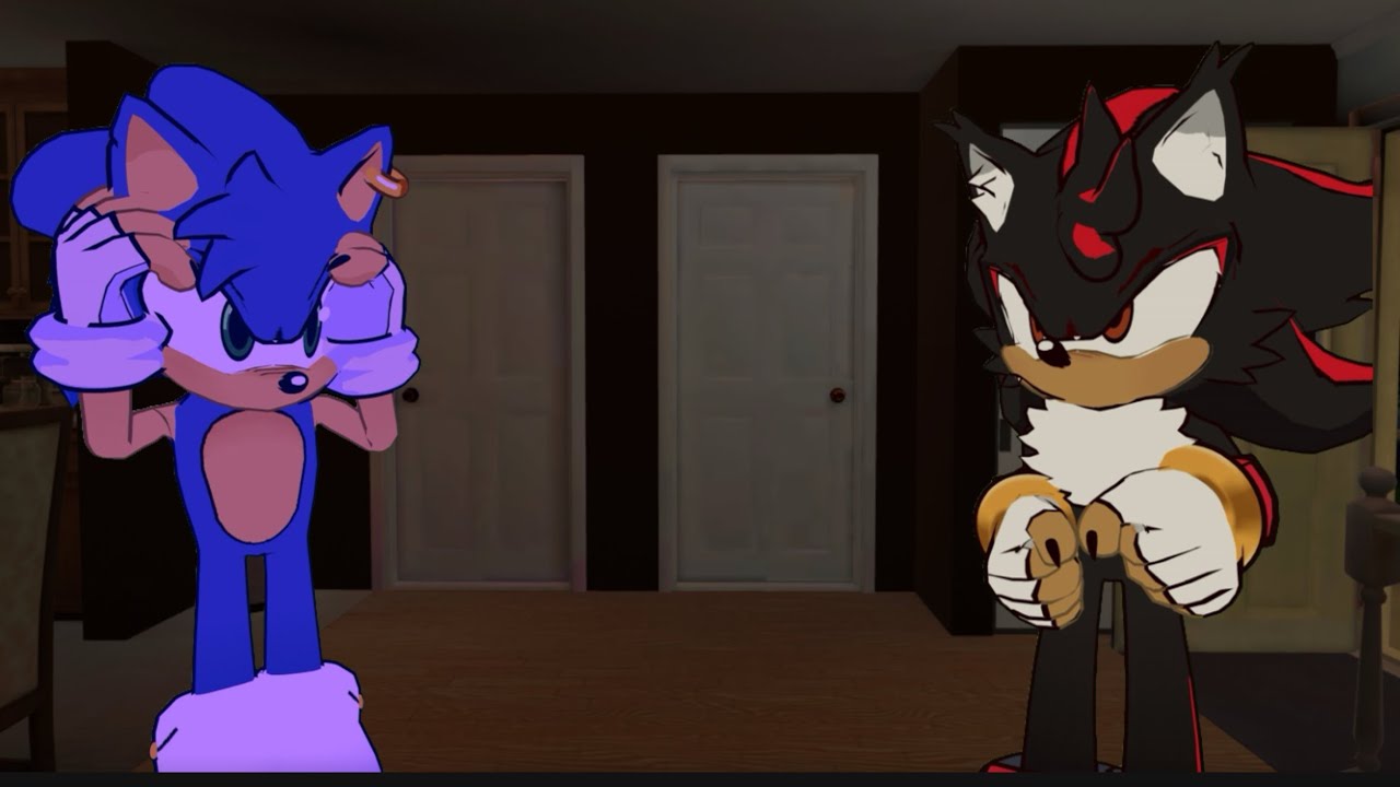 Shadow and Sonic’s New Body