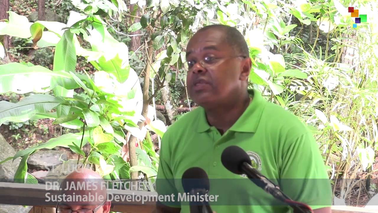 Saint Lucia: Ten-Year Forest Protection Plan Unveiled