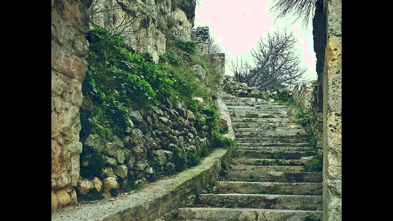 أهلا بكم في القدموس