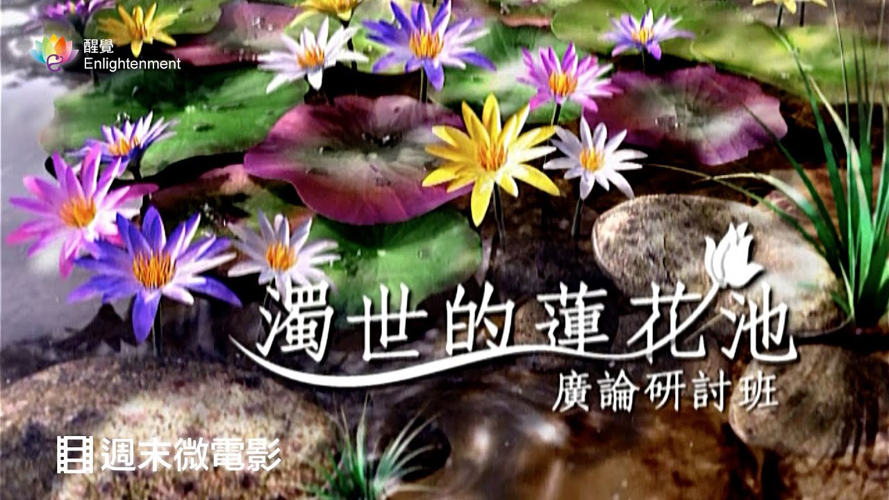 《 週末微電影 _ 濁世的蓮花池 》