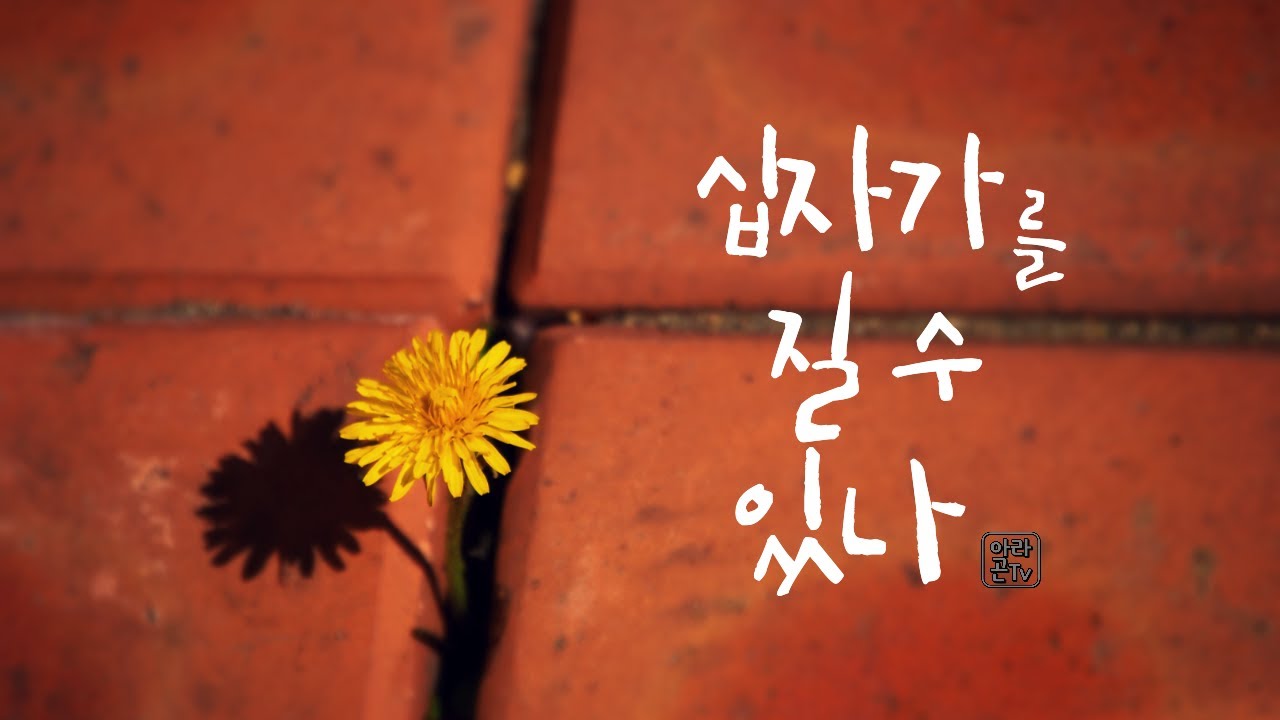 십자가를 질수 있나 (찬송가461장)1시간 연속듣기| 노래 by 행복한오드리(feat.아라곤TV) | MR by Gospel Project