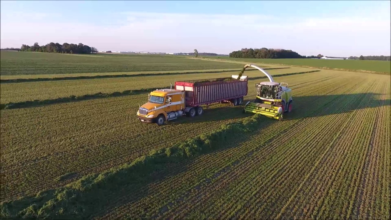 Clark Family Farms Haylage