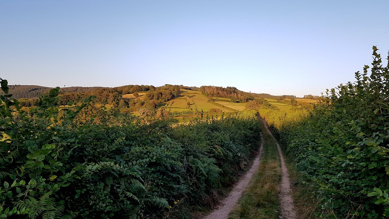 Mini rando solo autour du Lac Pannecieres dans le Morvan