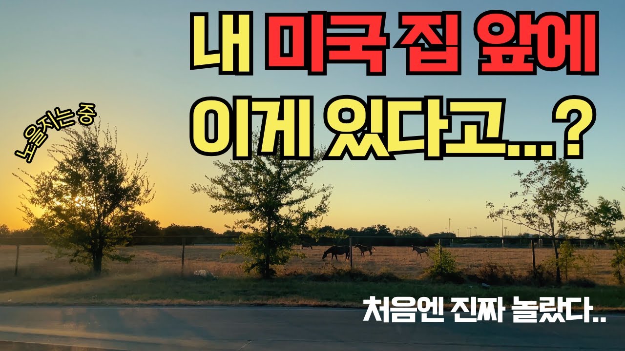 미국일상🇺🇸ㅣ아마존 화장대 조립하기ㅣ미국에서 차려먹는 집밥ㅣ식탁 조립ㅣ매일 장만 10만원치 보는 일상ㅣ영어 공부ㅣ우리 집 앞은 대자연ㅣ집에서 샤브샤브ㅣ미국스타벅스ㅣ드디어 소파 도착