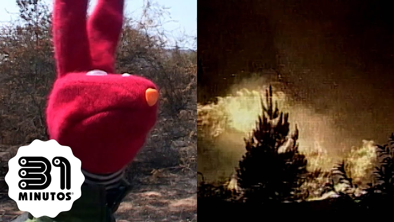 31 minutos - Nota Verde - Incendios forestales