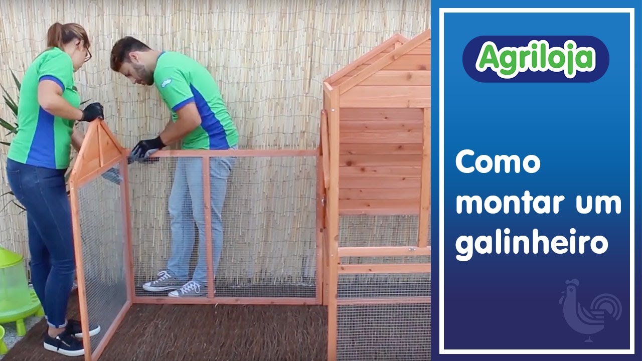 Agriloja - Como montar um galinheiro