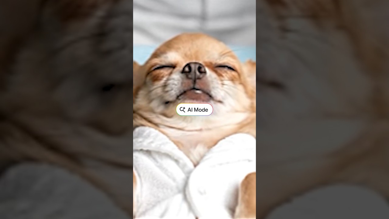 Using AI Mode in Google Search to do the research for you feels like ☝️