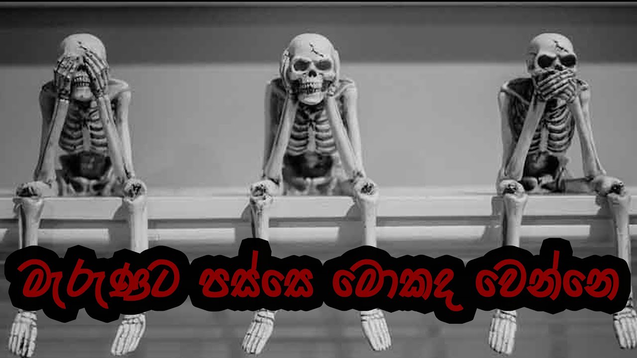 මැරුණට පස්සෙ මොකද වෙන්නෙ ? පූජ්‍ය නෙළුම් දෙනියේ ධම්මදස්සි හිමි