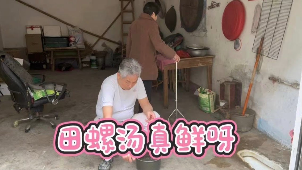 老妈厨艺杠杠的田螺也煮得这么好吃，田螺汤真的太鲜甜好喝啦
