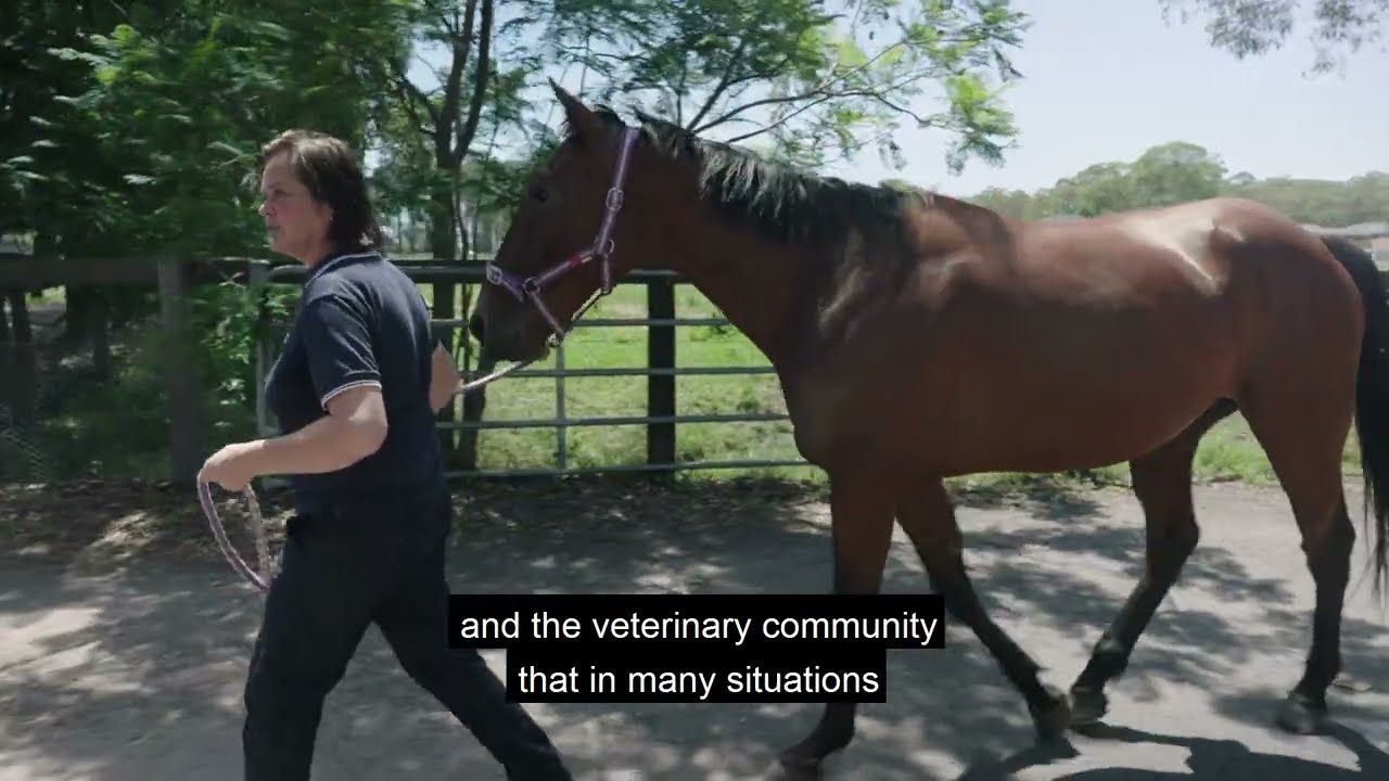 Get Ready Animals - Horse owners: what&rsquo;s your flood plan?