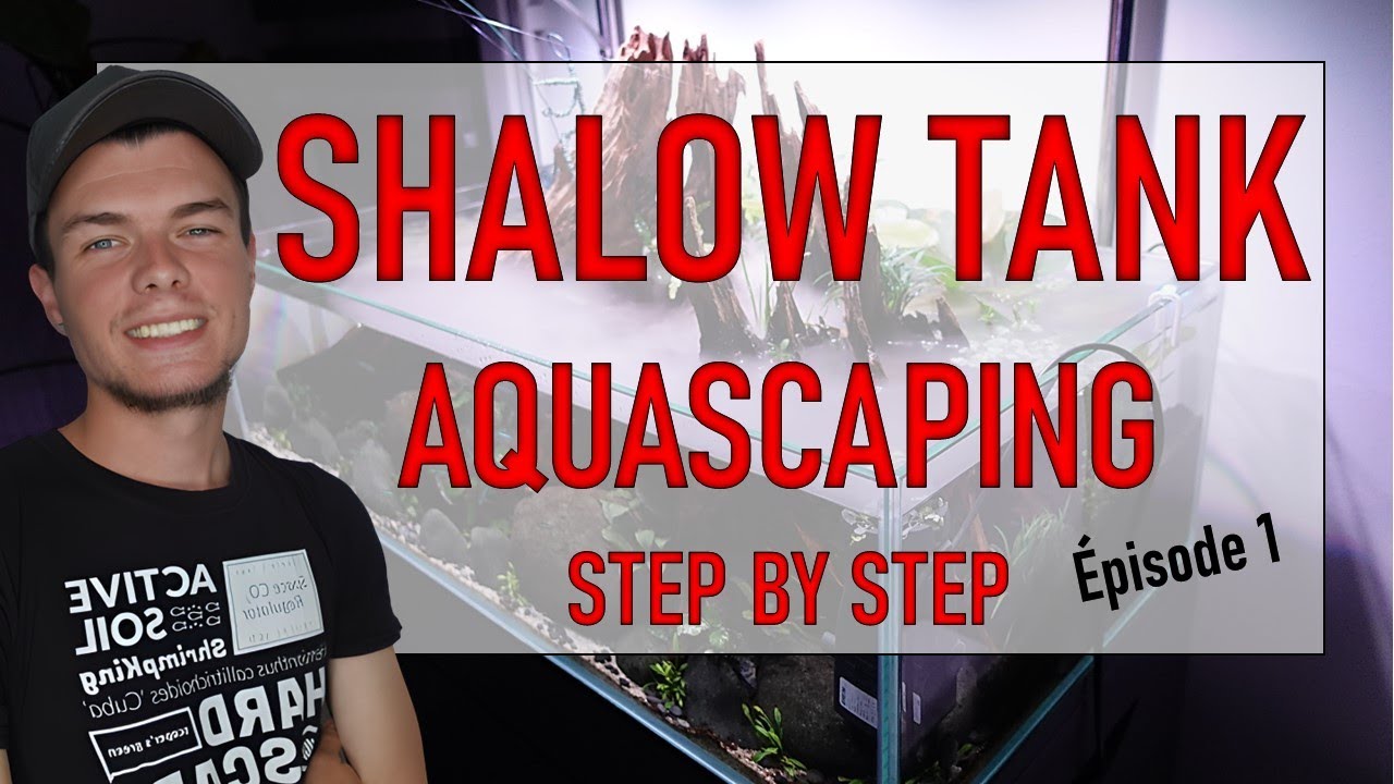 AQUASCAPING STEP BY STEP LE SHALOW épisode 1