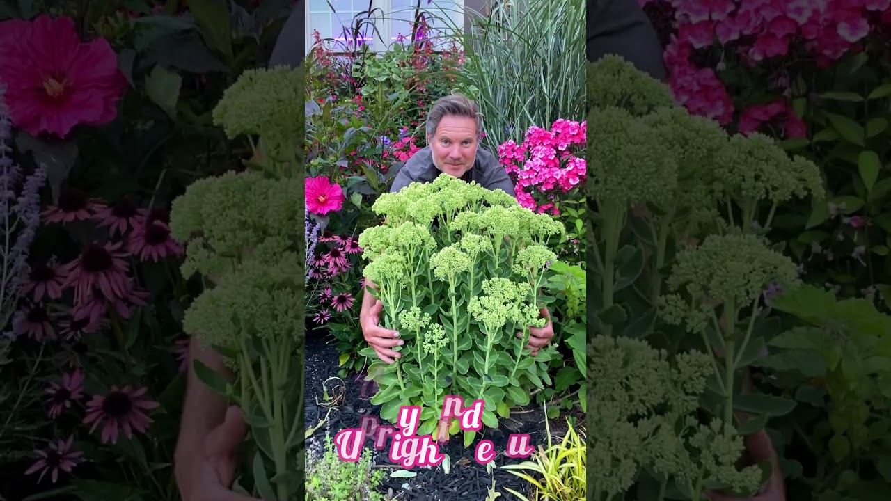 Some of our Favorite Perennials for Fresh Cut Flower Bouquets #gardening #garden