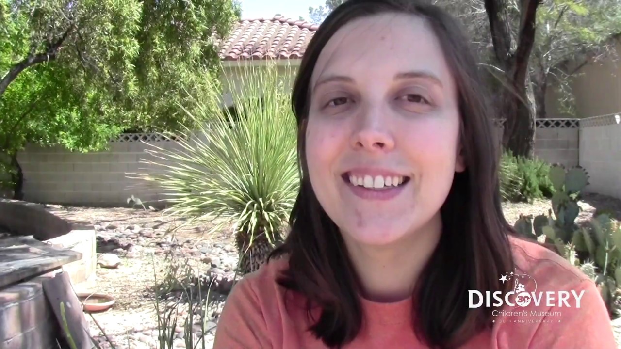 Animal Encounters: Desert Tortoise