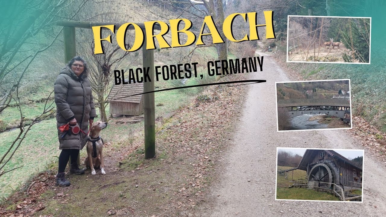 Forbach Unique Bridge & Glücksweg, Black Forest, Germany