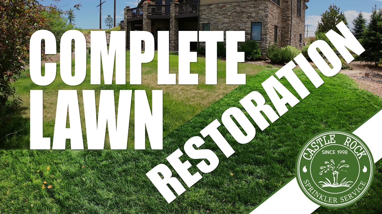 Complete Lawn Restoration