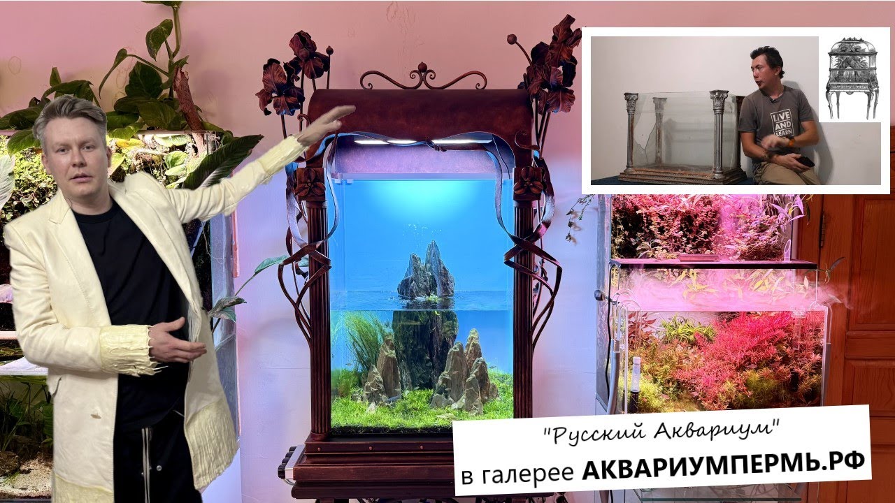 «Русский аквариум»  - аквариум, который совмещает в себе традиции и современные технологии.