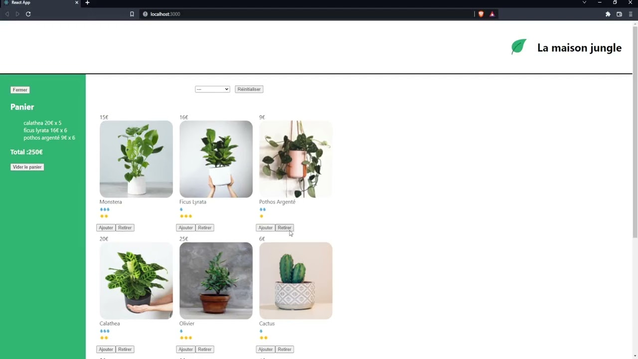 Online plant store - In progress - HTML CSS REACT