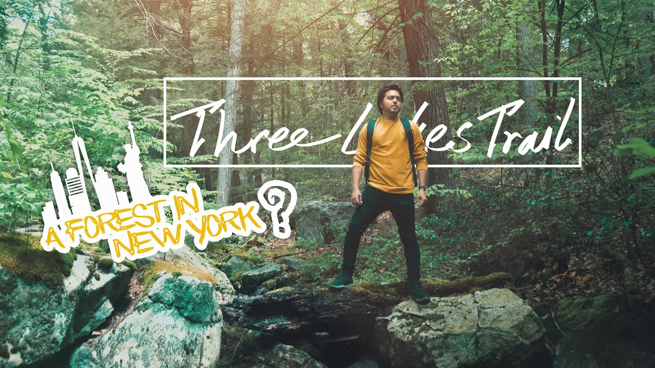 Amazing Hiking Experience In New York Forest | Three Lakes Trail | Cinematic Travel (2020)