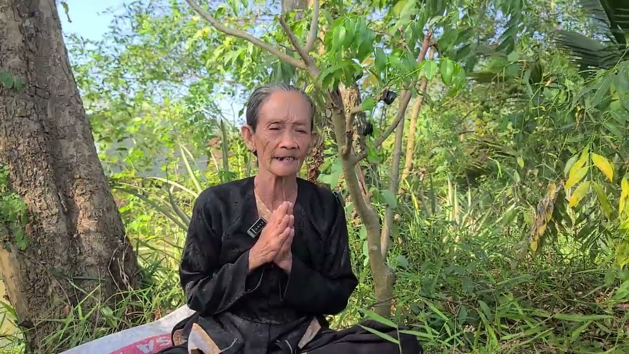 Bà Lão Cho Biết 