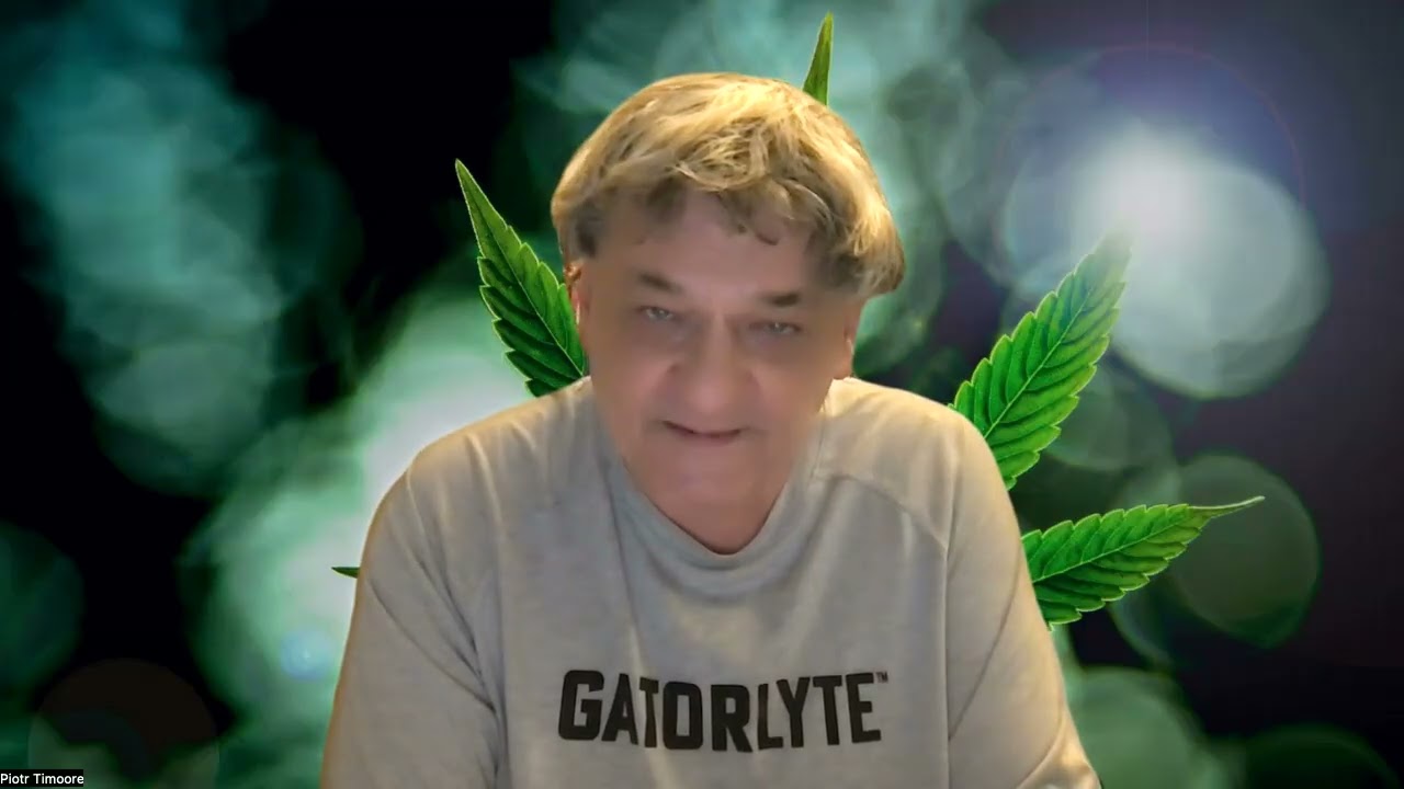 Piotr Tymochowicz - polska mentalność