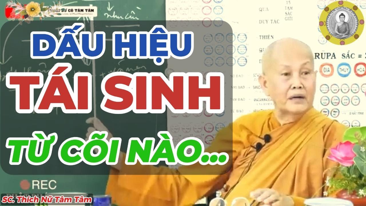 DẤU HIỆU TÁI SINH TỪ CÕI NÀO | SC . Thích Nữ Tâm Tâm