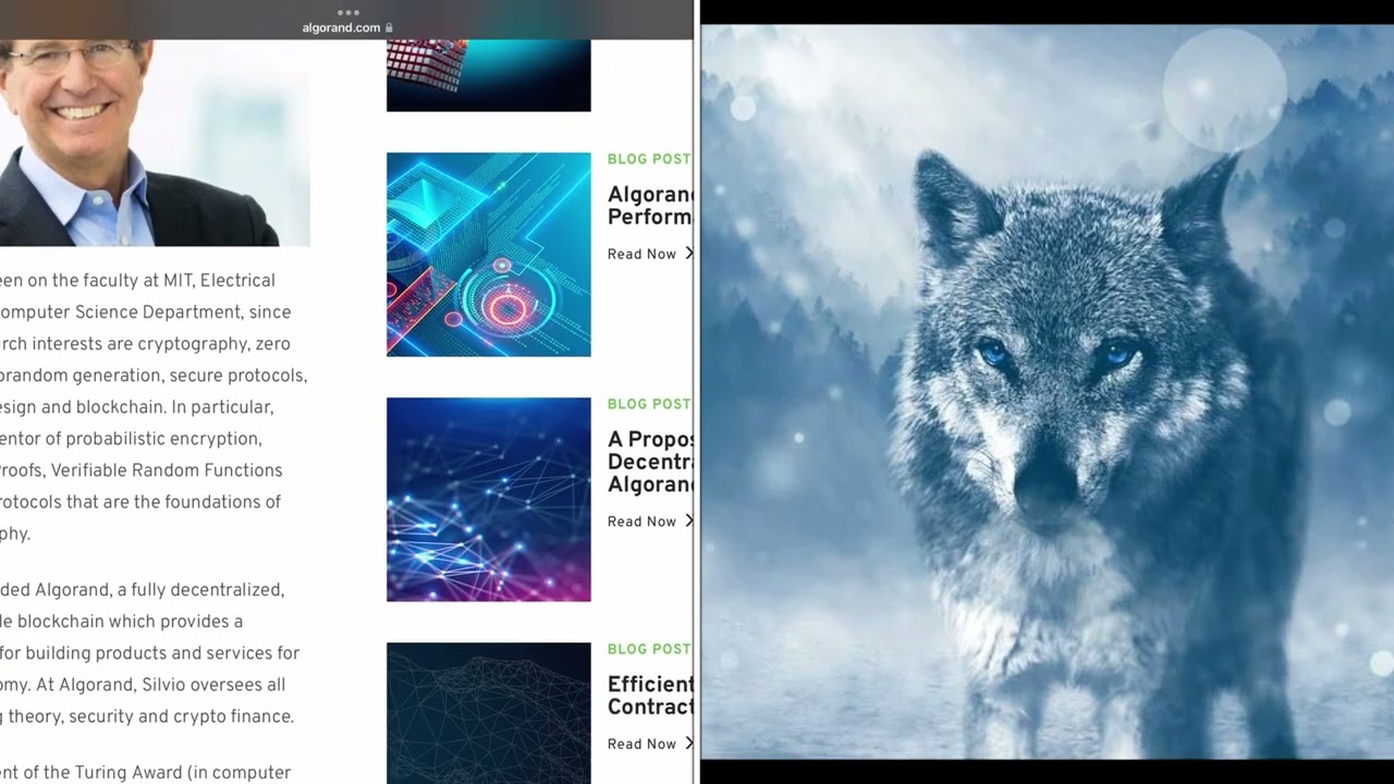 SEC ATTACKS Crypto #algo #algorand #btc #bitcoinshorts #bitcoin #endthefed #c #cryptonewstoday