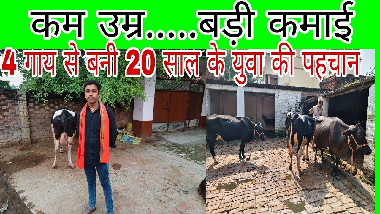 20 साल के लड़के की डेरी सफलता – 4 गायों से बना ली अपनी पहचान! Dairy farming in chandauli up
